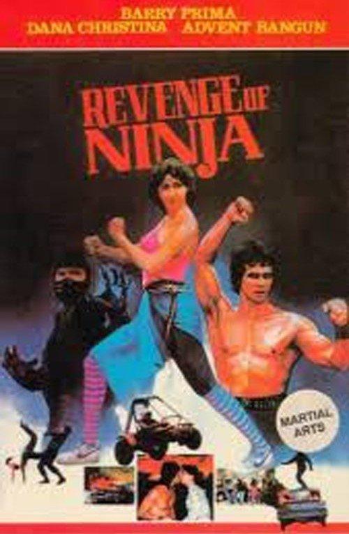 Revenge of the Ninja filmas online