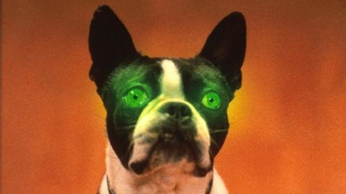 The Convent filmas žiurėti online