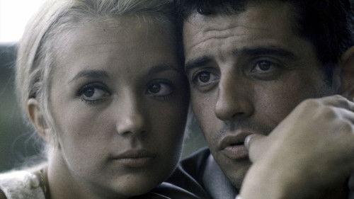 Life Love Death filmas žiurėti online