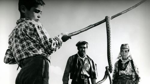 Revenge of the Snakes filmas žiurėti online