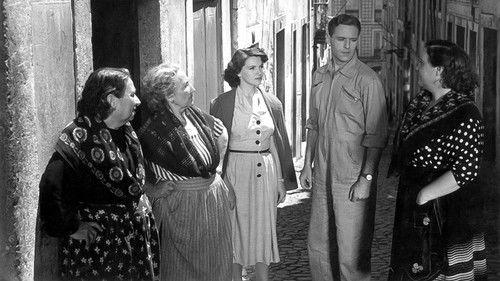 Madragoa filmas žiurėti online