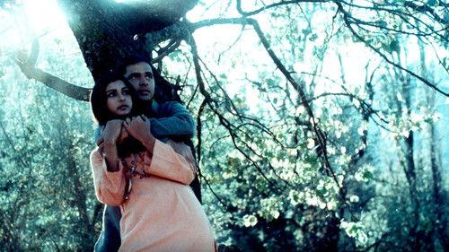 Noorie filmas žiurėti online