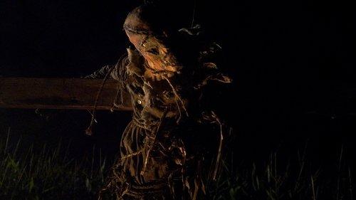 Husk filmas žiurėti online