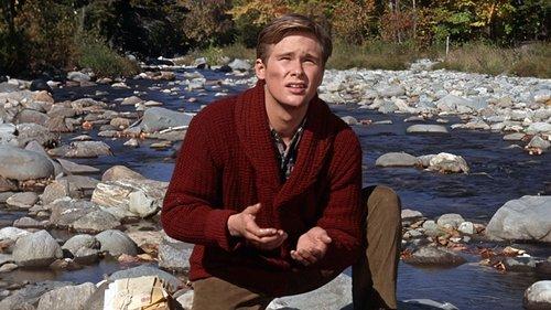 Those Calloways filmas žiurėti online