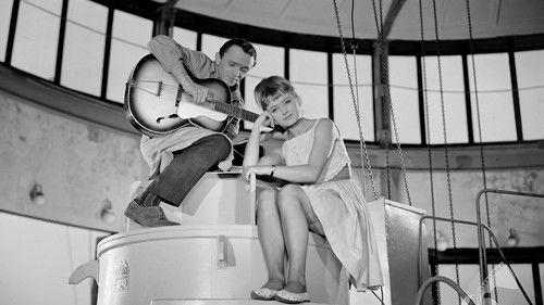 Cooked Doves filmas žiurėti online