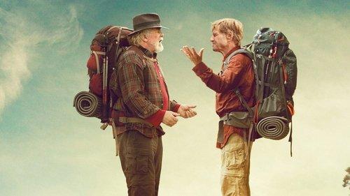 Pasivaikščiojimas miške filmas žiurėti online