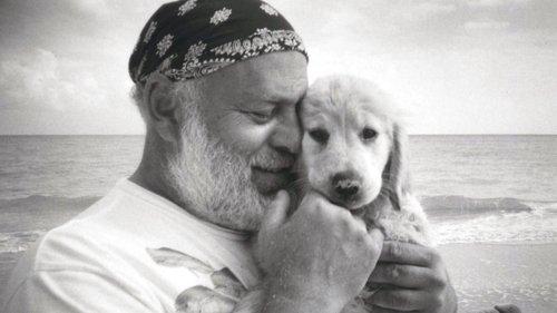 A Letter to True filmas žiurėti online