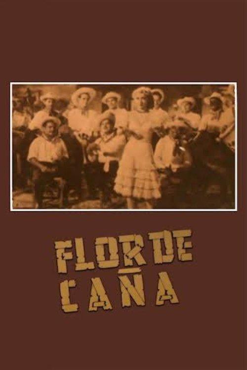 Flor de caña filmas online