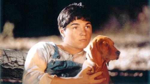 Where the Red Fern Grows filmas žiurėti online