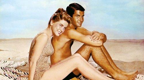 Where the Boys Are filmas žiurėti online