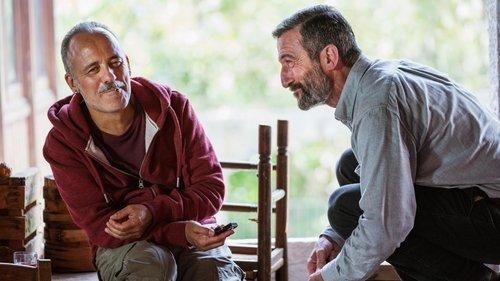 Pájaros filmas žiurėti online