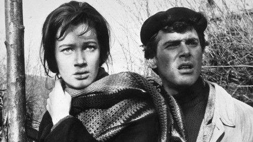 A Day for Lionhearts filmas žiurėti online