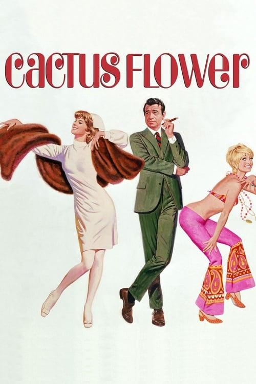 Cactus Flower filmas online