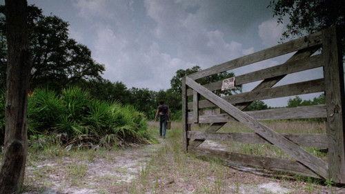 The Enchanted filmas žiurėti online