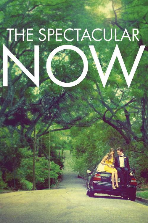 The Spectacular Now filmas online