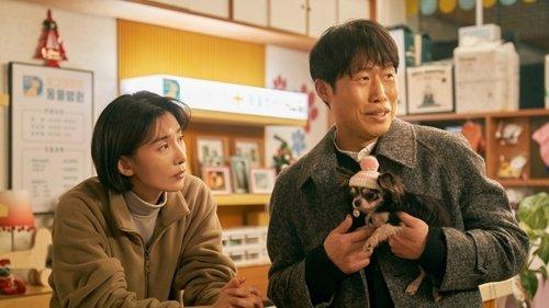 Dog Days filmas žiurėti online