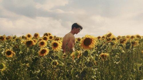 Sunflower filmas žiurėti online