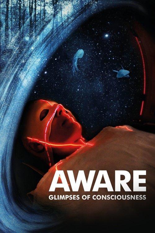 Aware – Reise in das Bewusstsein filmas online