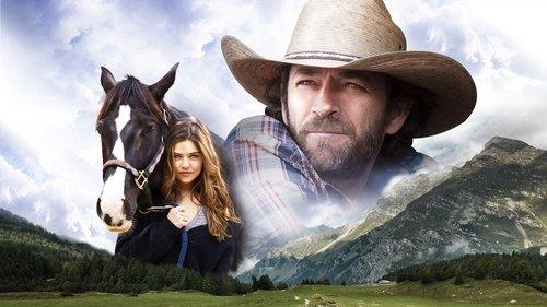 Race To Win filmas žiurėti online