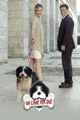 Un cane per due filmas online