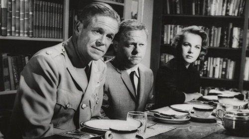 Platinum High School filmas žiurėti online