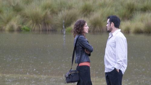 The Kidnapping filmas žiurėti online