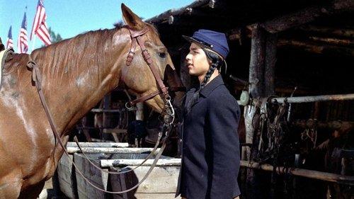 Tonka filmas žiurėti online