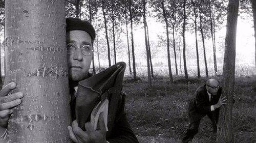 Il maestro di Vigevano filmas žiurėti online