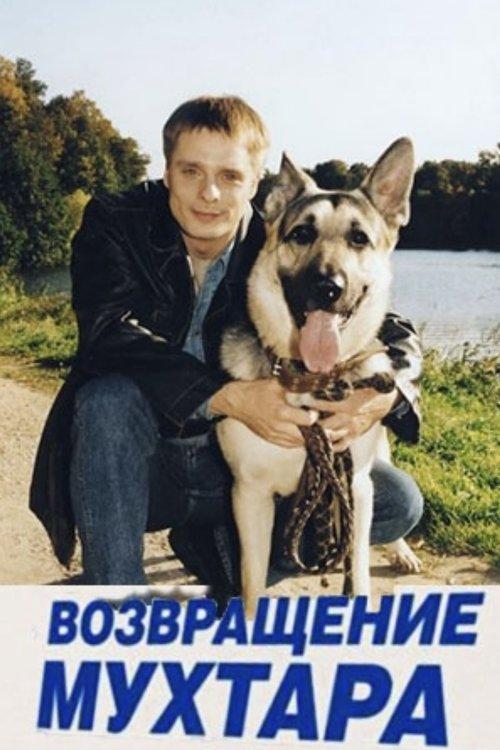 Возвращение Мухтара filmas online