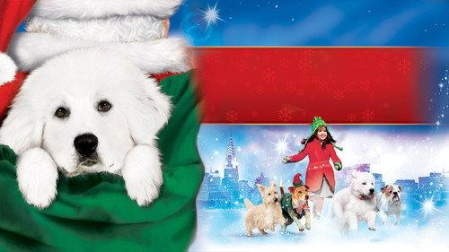 The Search for Santa Paws filmas žiurėti online