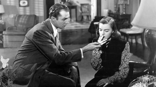 The Web filmas žiurėti online