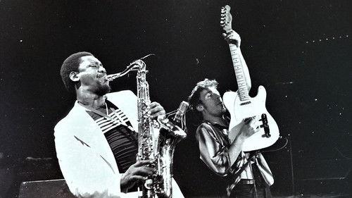 Bruce Springsteen & the E Street Band Houston '78 Bootleg: House Cut filmas žiurėti online