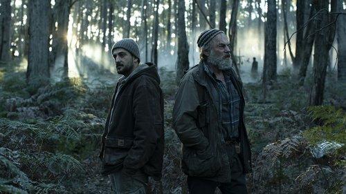 The Rooster filmas žiurėti online