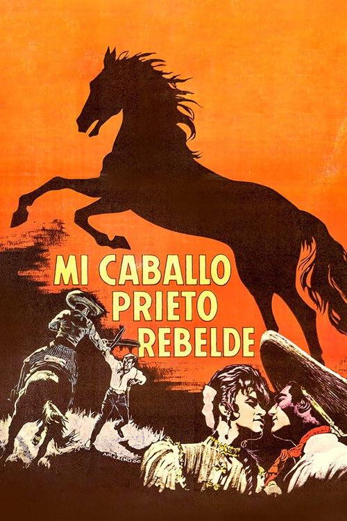 Mi caballo prieto rebelde filmas online