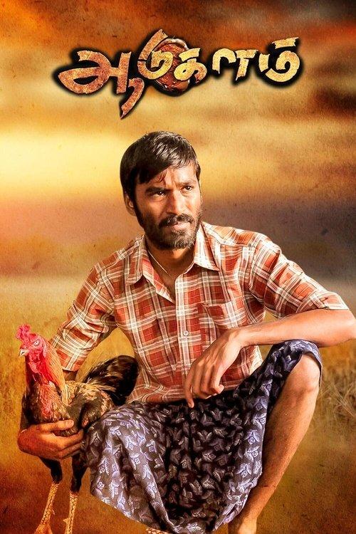 Aadukalam filmas online