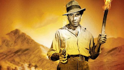 The Treasure of the Sierra Madre filmas žiurėti online