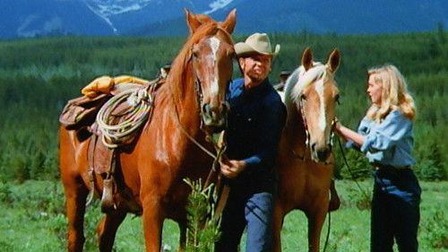 Hacksaw filmas žiurėti online