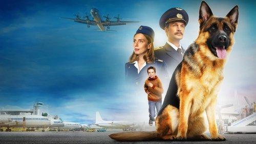 Palma filmas žiurėti online