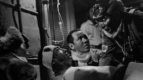 The Last Kamikaze filmas žiurėti online