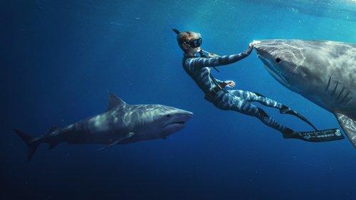 Shark Whisperer filmas žiurėti online