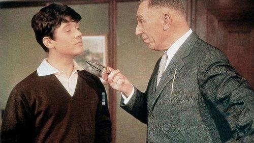 Zur Hölle mit den Paukern filmas žiurėti online