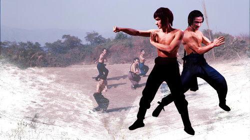 Shaolin Martial Arts filmas žiurėti online