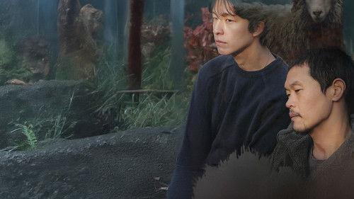 A Distant Place filmas žiurėti online