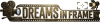 Dreams In Frame studio logo