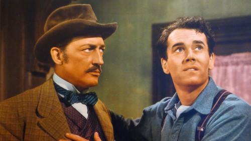 Wild Geese Calling filmas žiurėti online