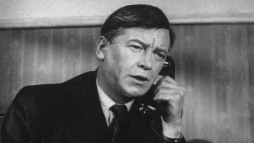 The Tight Knot filmas žiurėti online