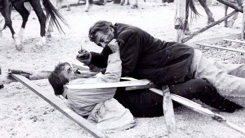 The Wolf's Trail filmas žiurėti online