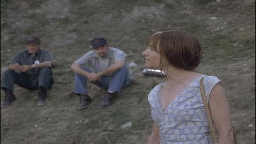 Harlan County War filmas žiurėti online