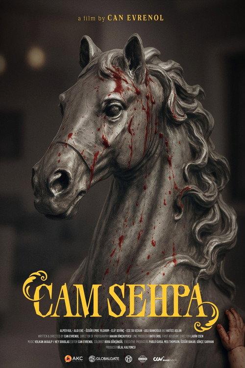 Cam Sehpa filmas online