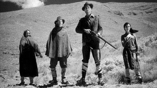 Under the Olive Tree filmas žiurėti online